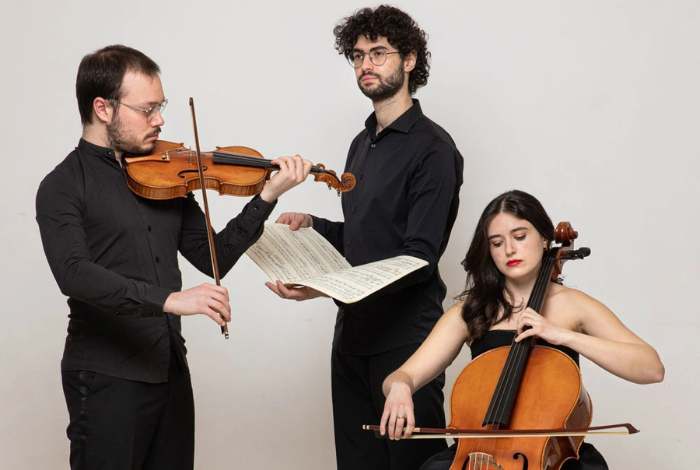 Trio Sheliak