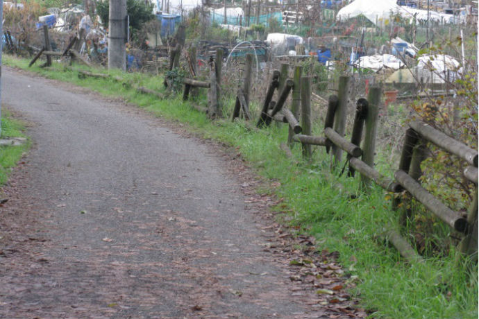 Pista ciclabile w