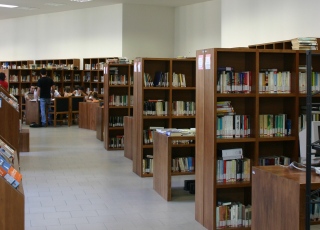 biblioteca pavese