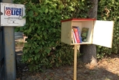 bookcrossing1