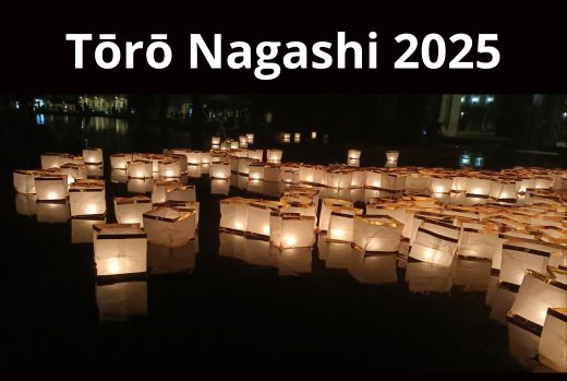 grafica sito toro nagashi 2025