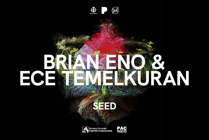Seed - Brian Eno e Ece Temelkuran