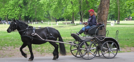 carrozza cittadella 