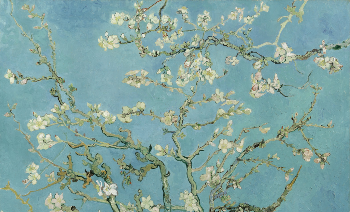 Van Gogh Almond blossom 