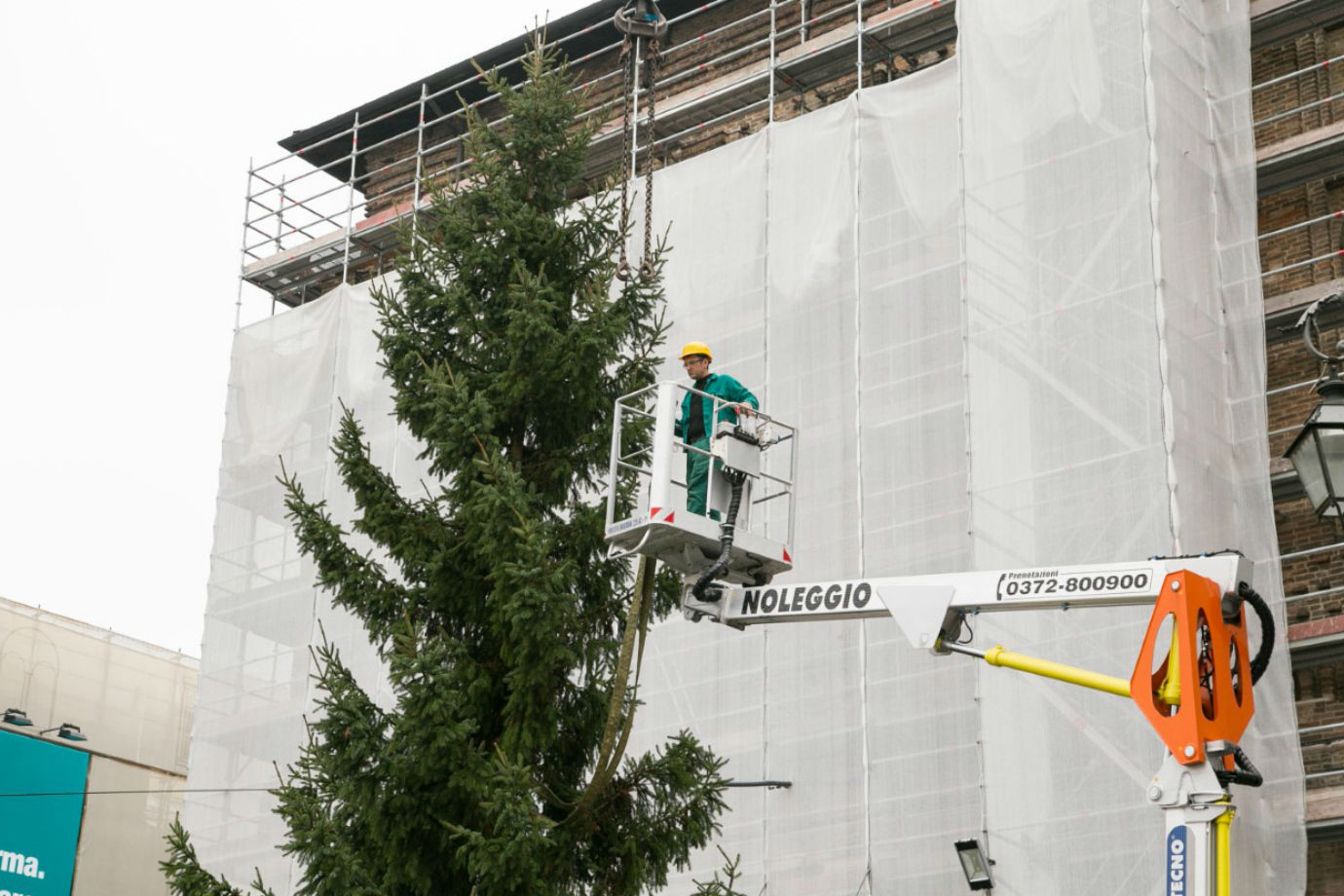 Albero Natale-w