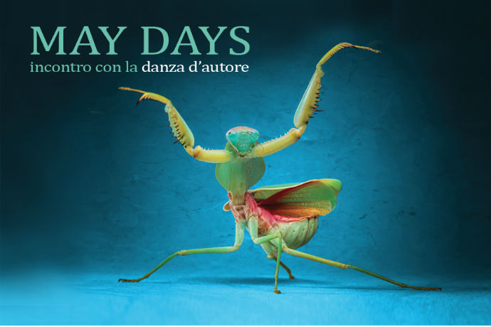 MAY DAYS w