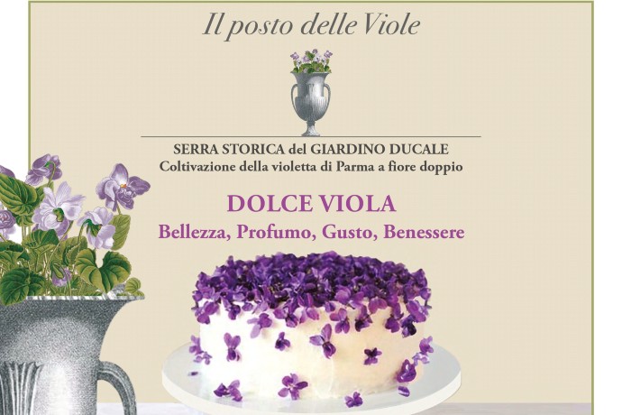 dolce viola