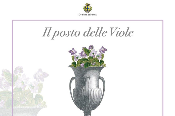 Il posto delle viole