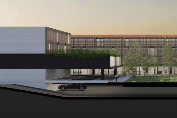 romanini stuard w.jpg