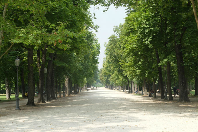 Parco Ducale viale alberato w