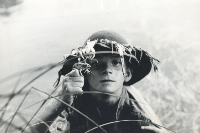 Fondazione Bernardo Bertolucci